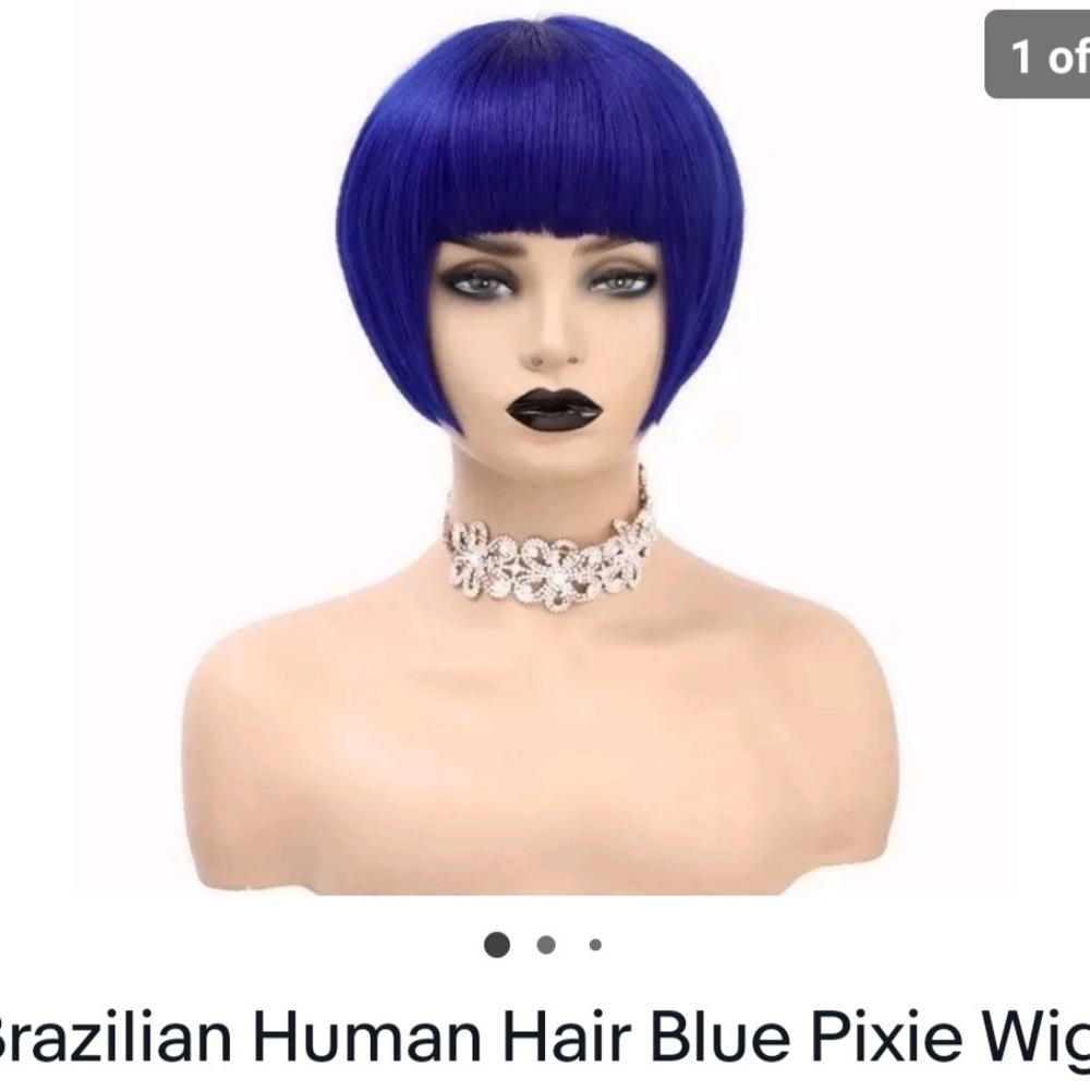 Human hair wig